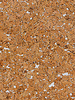 DEKWALL RY 77 Hawaii WHITE Waxed